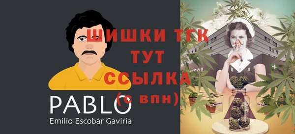 стафф Майский