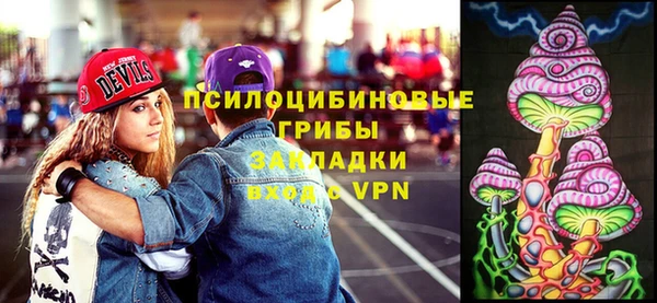спиды Магас