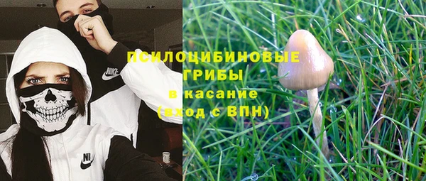 стафф Майский