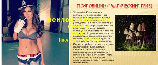 стафф Майский