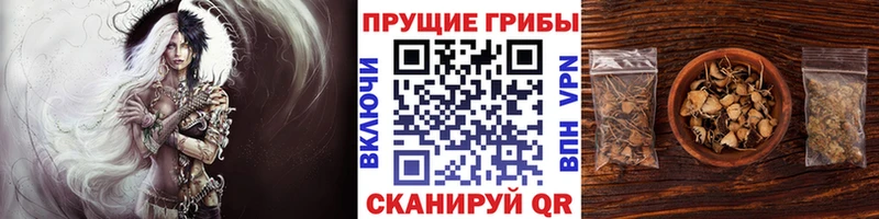 Галлюциногенные грибы прущие грибы  Владимир 