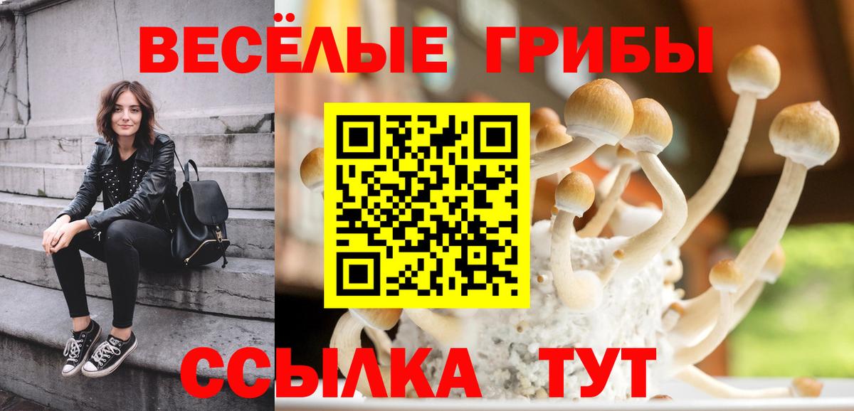 Владимир  Псилоцибиновые грибы мицелий  где можно купить   Вход с VPN 